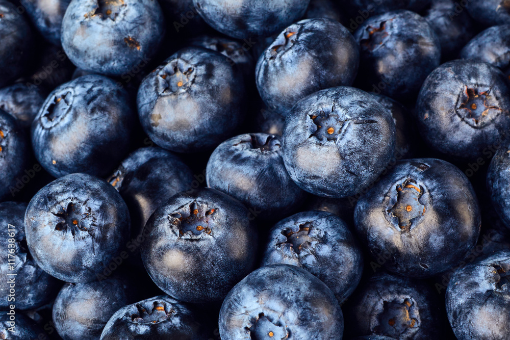Obraz premium Blueberries