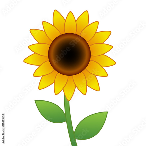 Fototapeta Naklejka Na Ścianę i Meble -  Sunflower