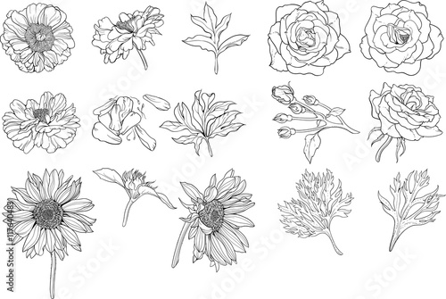 Set of various isolated flower.