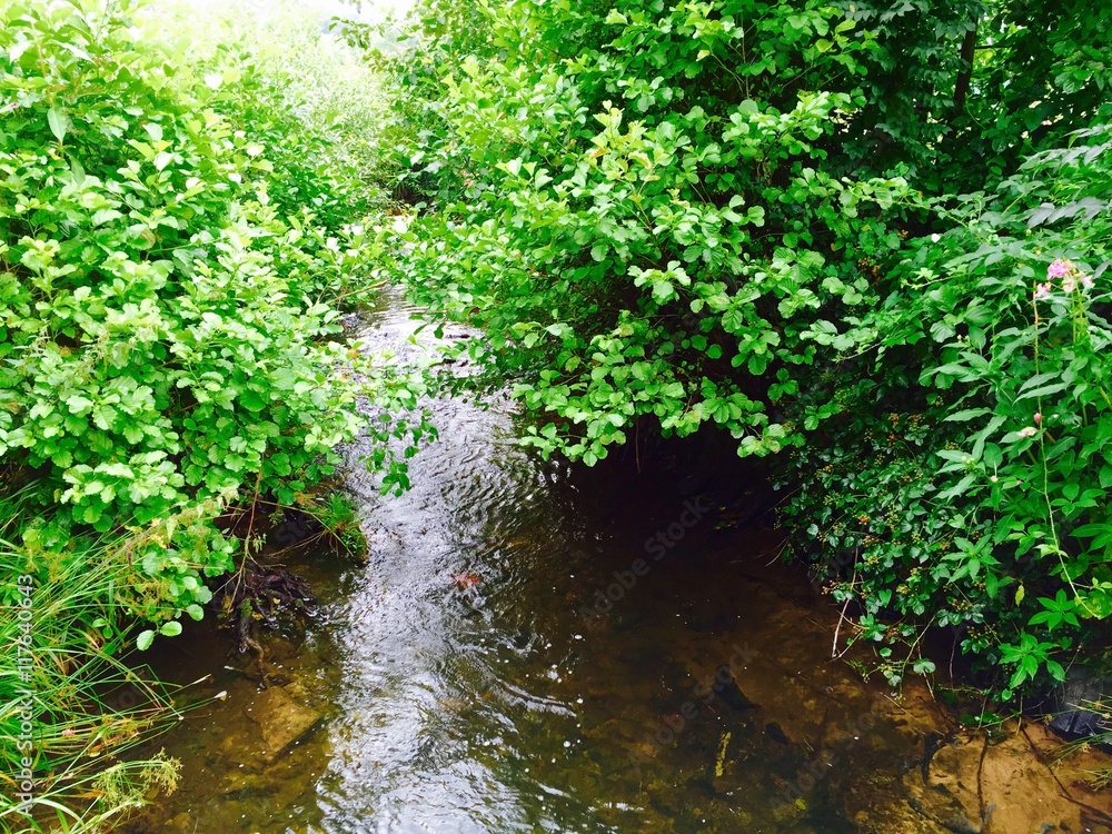Fototapeta premium Bachlauf im Sommer
