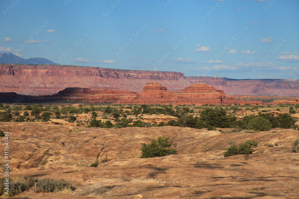 The Needles, Canyonland NP The Needles, Canyonland NP
