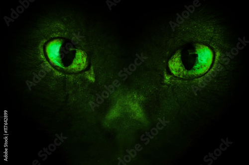 Demonic eyes