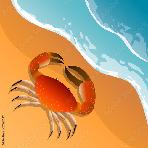 The illustration on a beach theme. Summer vacation by the sea. The crab on the sand. Sea surf . Vector Image.