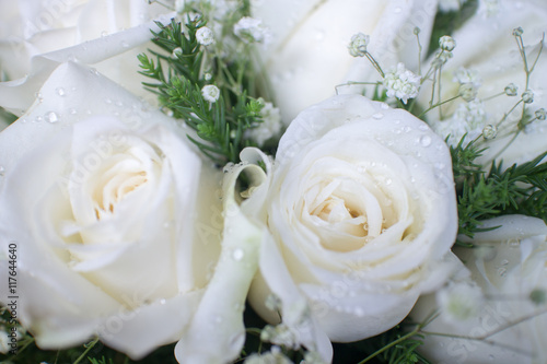 White roses background.(Close-up)