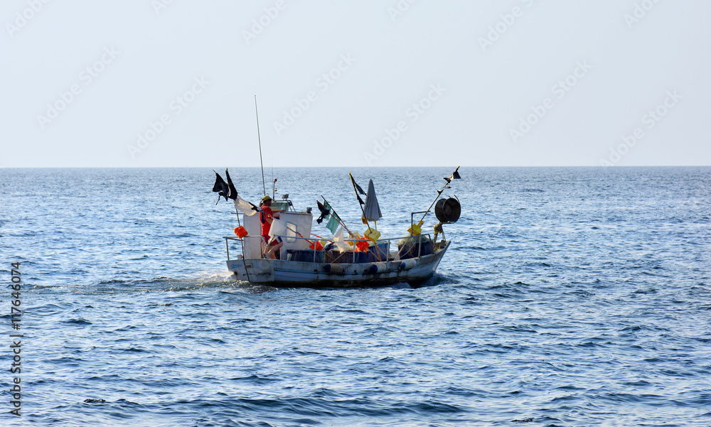 Obraz premium Croatia, Istria