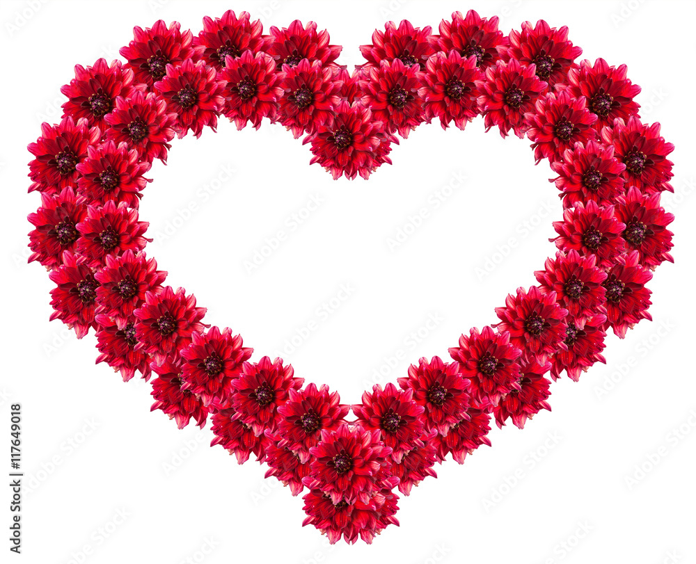 heart symbol of dahlia flowers. isolated on white background heart symbol of dahlia flowers. isolated on white background