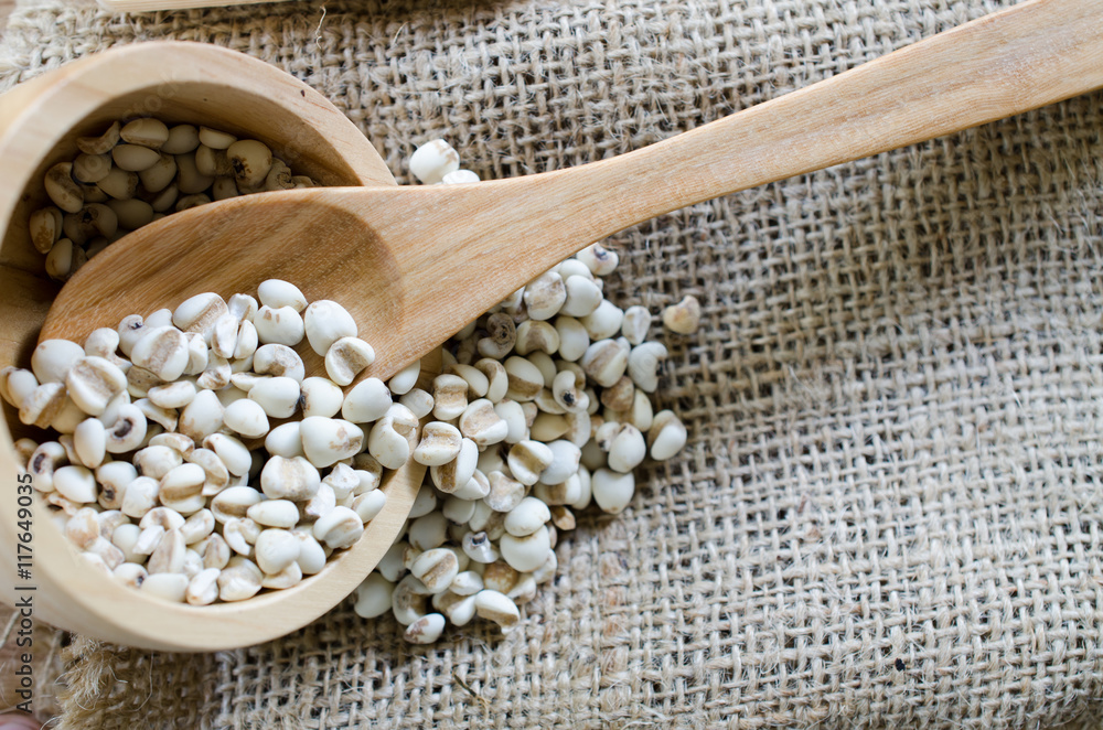 Adlay millet Stock Photo Adobe Stock