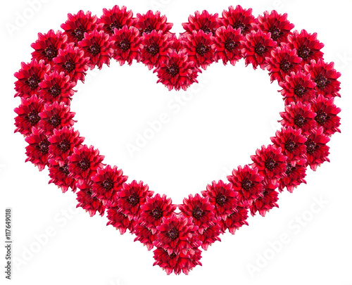 heart symbol of dahlia flowers. isolated on white background