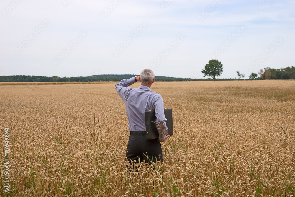 Businessman explore in the wheat field searching for the new opportunities Businessman explore in the wheat field searching for the new opportunities