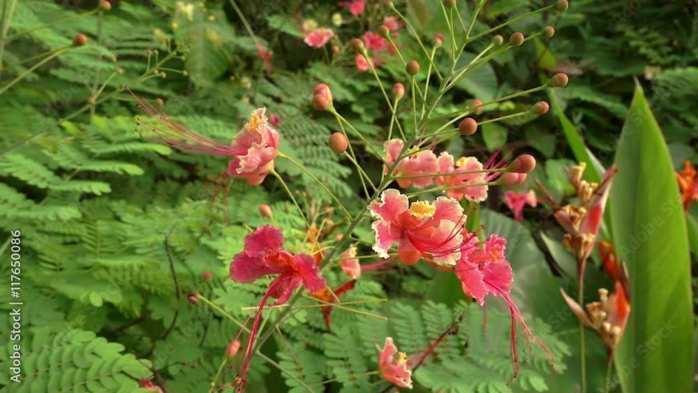 This video is about Untitled Project 17