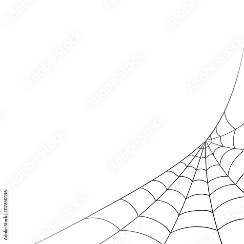 Vector Illustration of a Spiderweb on a White Background