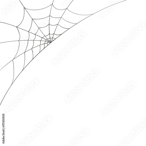 Vector Illustration of a Spiderweb on a White Background