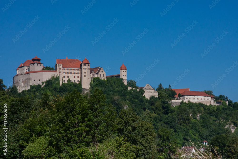 Historische Burg umgeben von Bäumen auf Berg