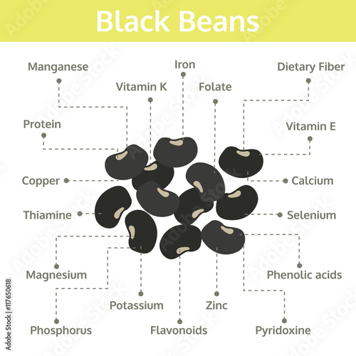 black beans nutrient of facts and health benefits, info graphic