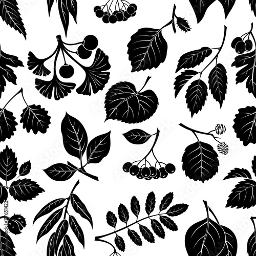 Seamless Nature Background with Pictogram Tree Leaves, Willow, Hawthorn, Poplar, Aspen, Ginkgo Biloba, Elm, Alder, Linden, Rowan, Chestnut, Black Chokeberry and Beech. Black on White. Vector