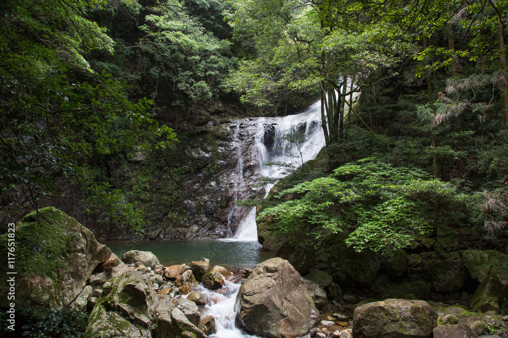 愛媛県宇和島市　薬師谷渓谷　雪輪の滝