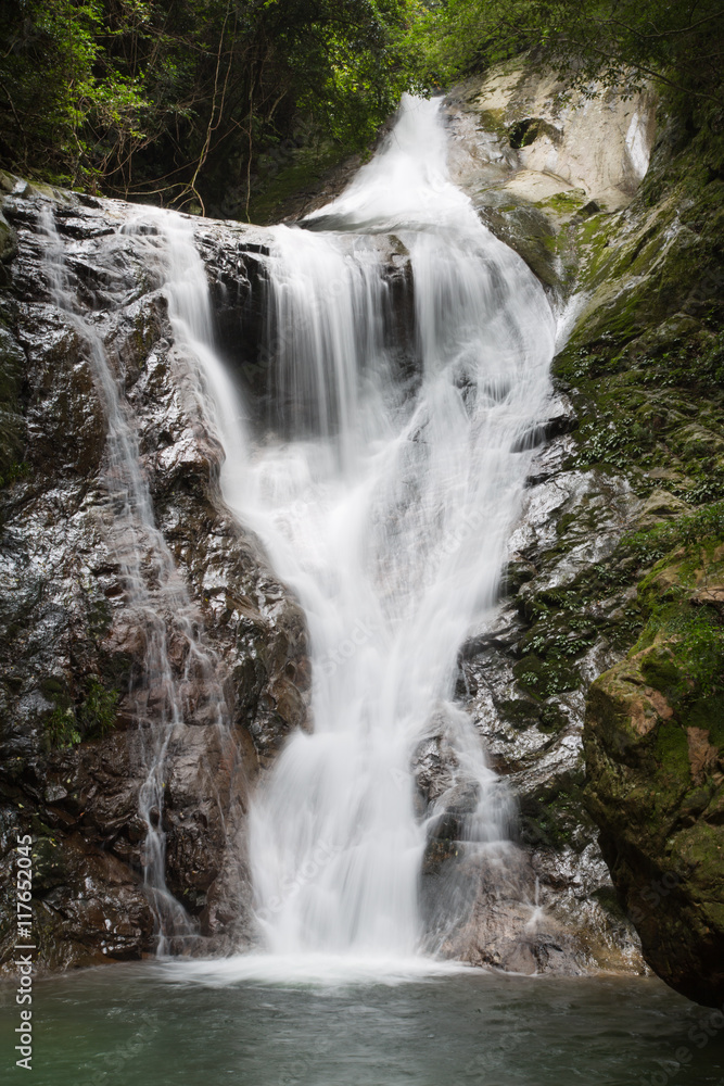 Fototapeta premium 愛媛県宇和島市 薬師谷渓谷 雪輪の滝