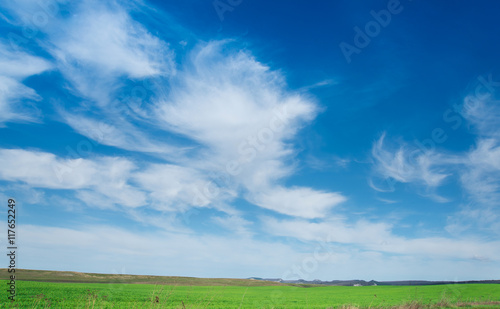 beautiful landscape, green grass and blue sky with white clouds