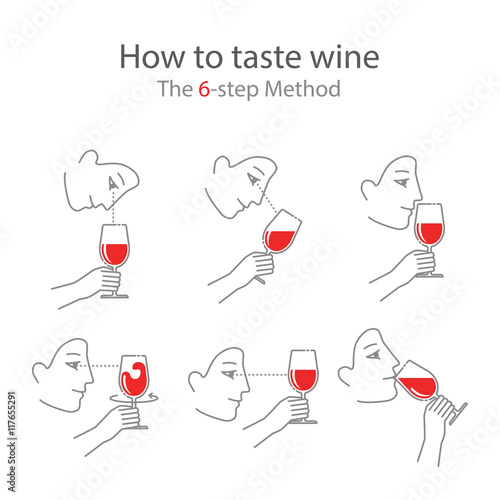 Wine tasting guide for beginners in a modern flat style. How to taste wine, the 6-step method. Stages of wine tasting. Typography poster for wine tasting, information poster for wineries or wine shop
