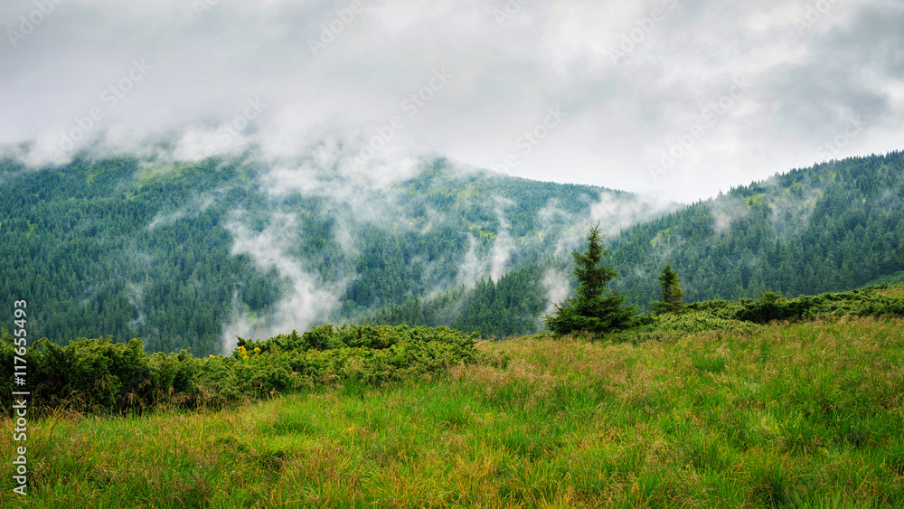 Mountain landscape in Carpathians, Chornogora ridge under clouds, Ukraine, Europe.