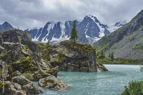 Горный пейзаж с кедрами, Алтай