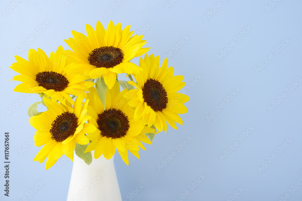 ひまわり 背景素材 青背景 ブルー Stock 写真 Adobe Stock ひまわり 背景素材 青背景 ブルー Stock 写真 Adobe Stock