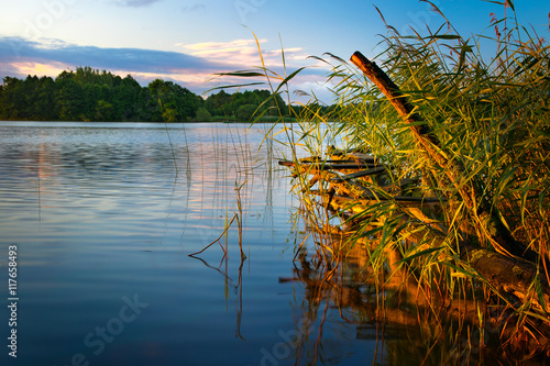 Fototapeta Naklejka Na Ścianę i Meble -  Footbridge made from fallen tree. August tranquil landscape. Elckie Lake, Masuria, Poland.