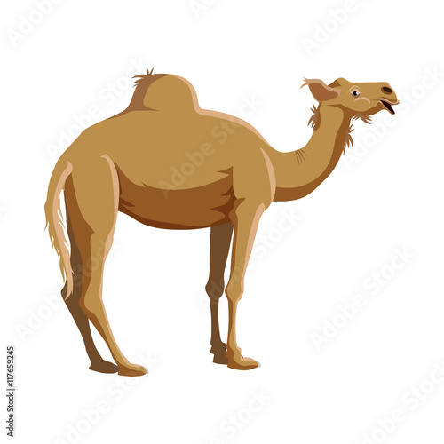 Camel icon in cartoon style on a white background