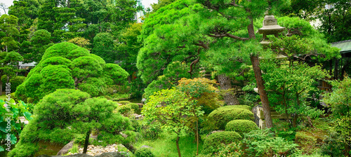 Photography Shibamata Taishakuten Buddhist temple garden, Tokyo, Japan