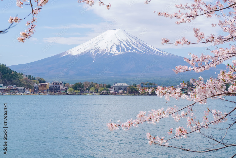 Mount Fuji from lake Kawaguchiko with cherry blossom in Yamanash