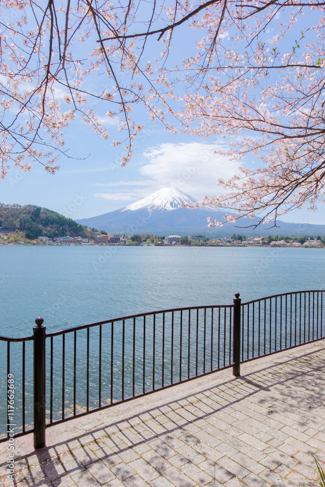 Mount Fuji from lake Kawaguchiko with cherry blossom in Yamanash