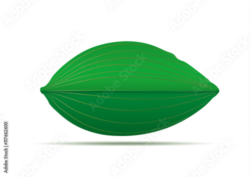 Green round leaves