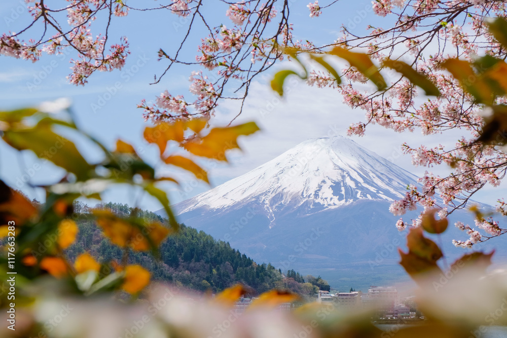 Mount Fuji from lake Kawaguchiko with cherry blossom and leaves