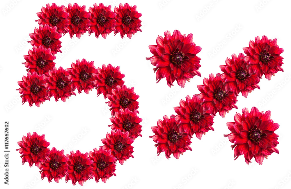 figures 5% of the letters written by flowers figures 5% of the letters written by flowers