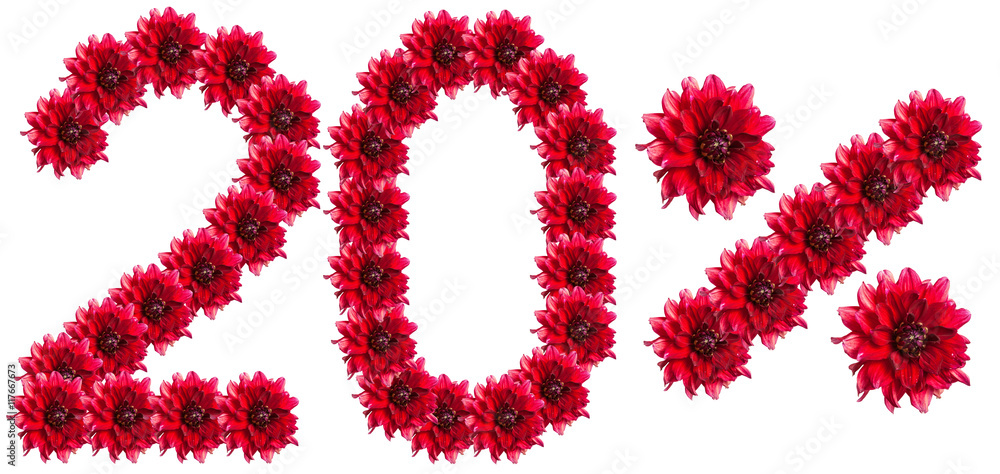 figures 20% of the letters written by flowers figures 20% of the letters written by flowers