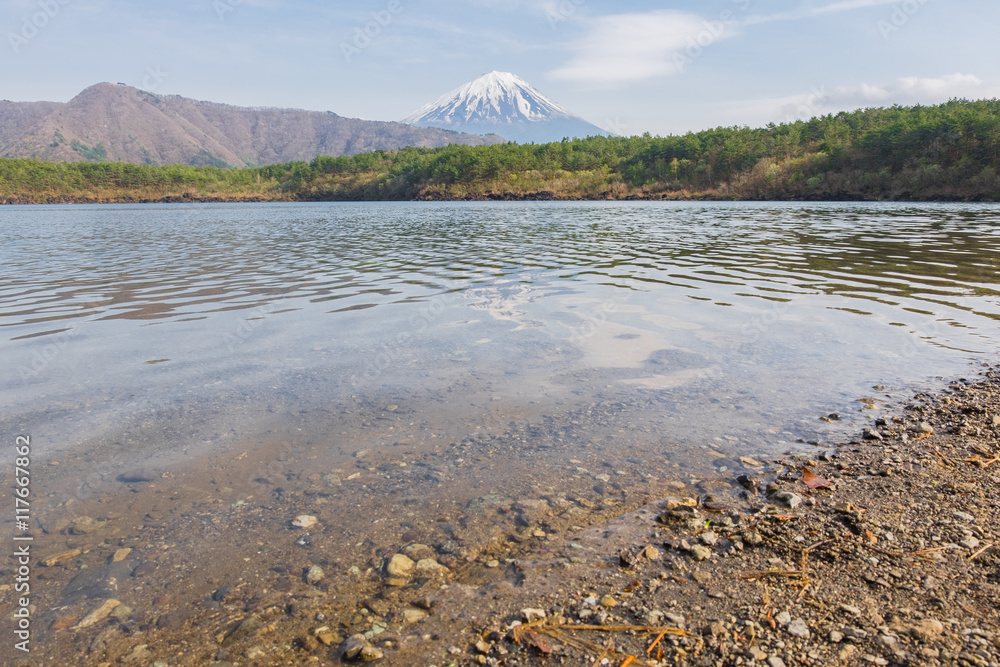 Mount Fuji from lake Saiko in spring