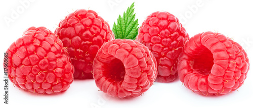 Five ripe raspberries in a line with green leaf isolated on white background with clipping path