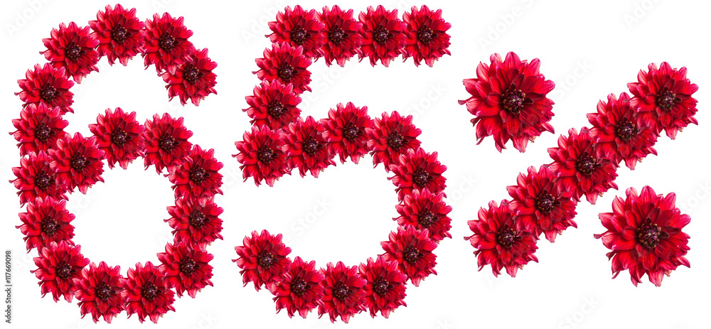 figures 65% of the letters written by flowers figures 65% of the letters written by flowers