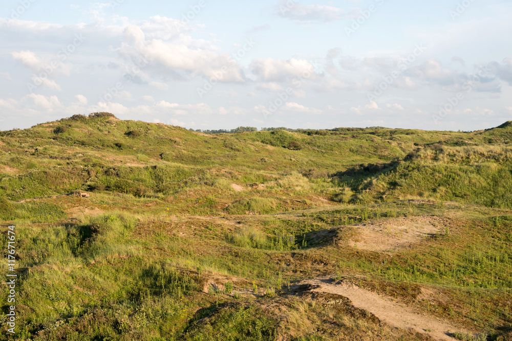 Dünengebiet Berkheide in den Niederlanden Dünengebiet Berkheide in den Niederlanden