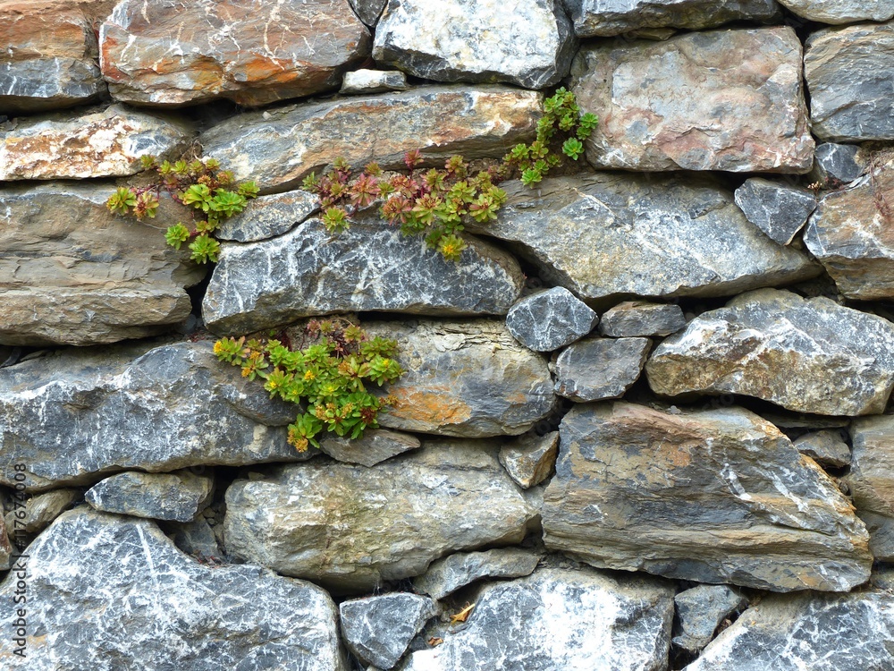Fotka „Gartenmauer aus Naturstein und Bruchstein mit Moos und Flechten
