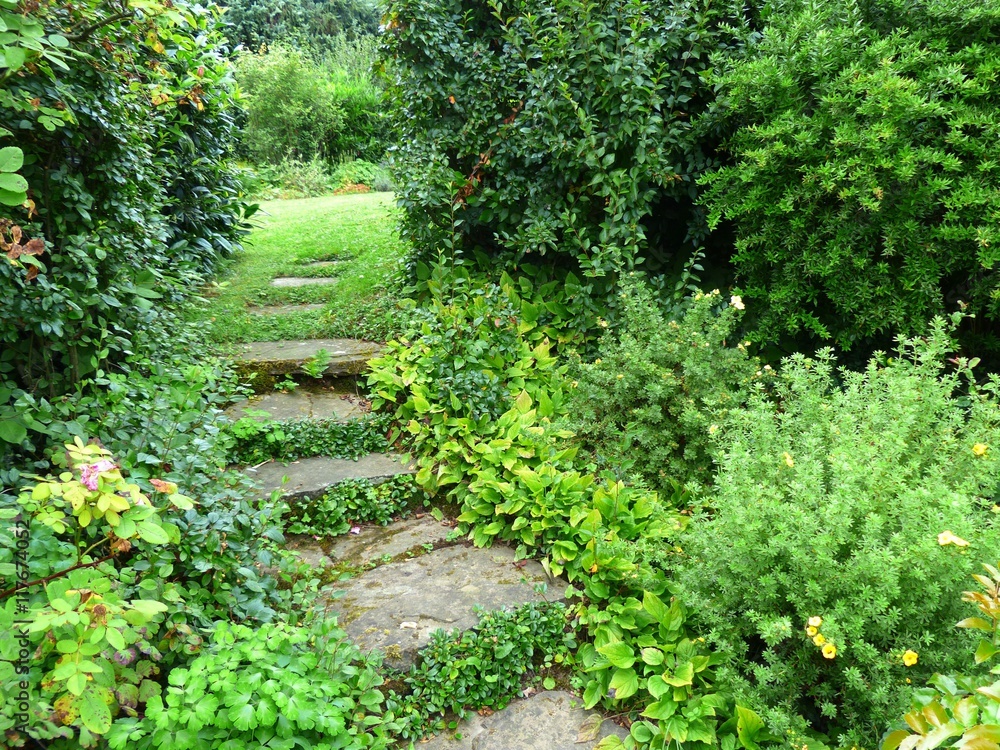 Durchgang mit Steinplatten zwischen Büschen im Sommer in einem grünen