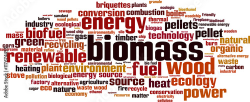 Biomass word cloud concept. Vector illustration