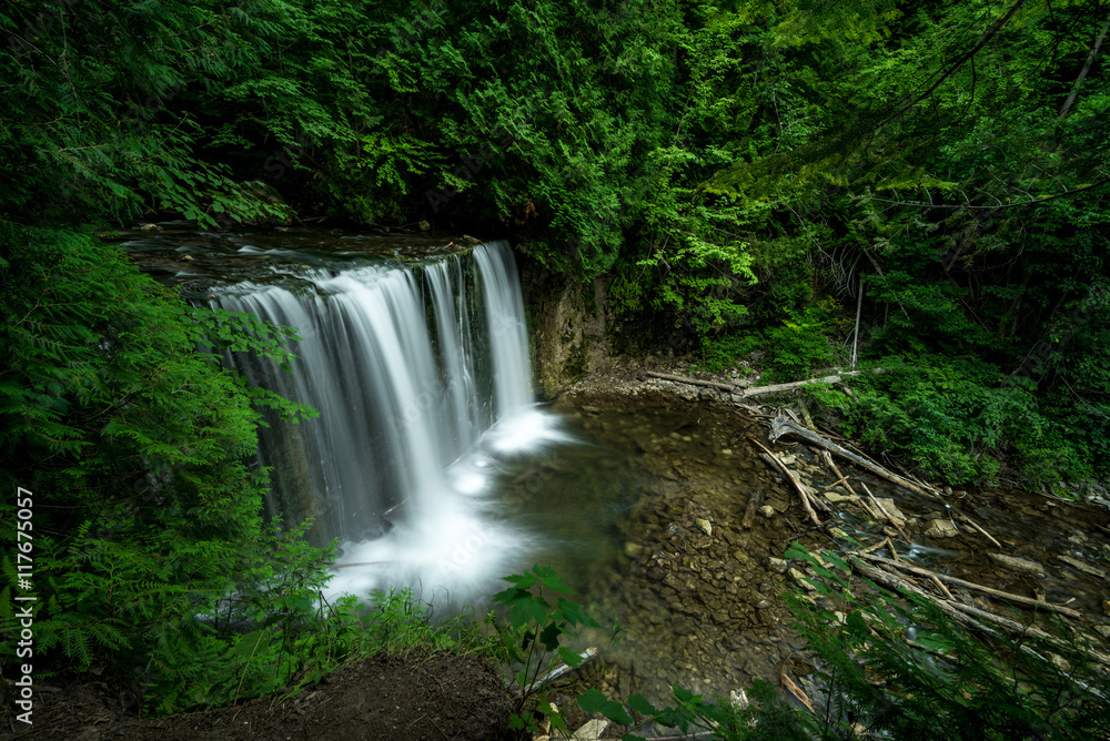 Fototapeta premium Hoggs Falls, Flesherton Ontario