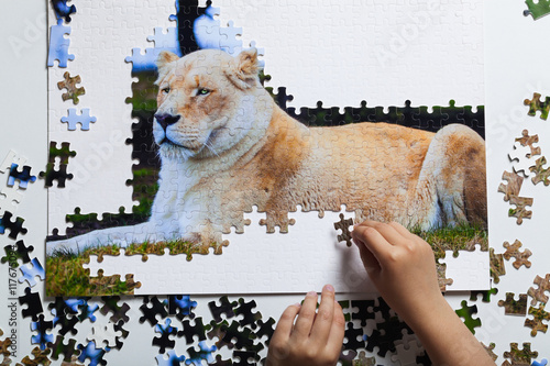 Fototapeta Naklejka Na Ścianę i Meble -  Puzzle