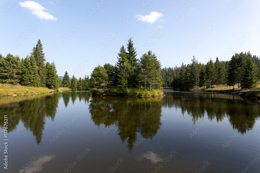 Mountain lake with pine tree forest