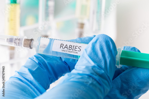 rabies vaccination photo