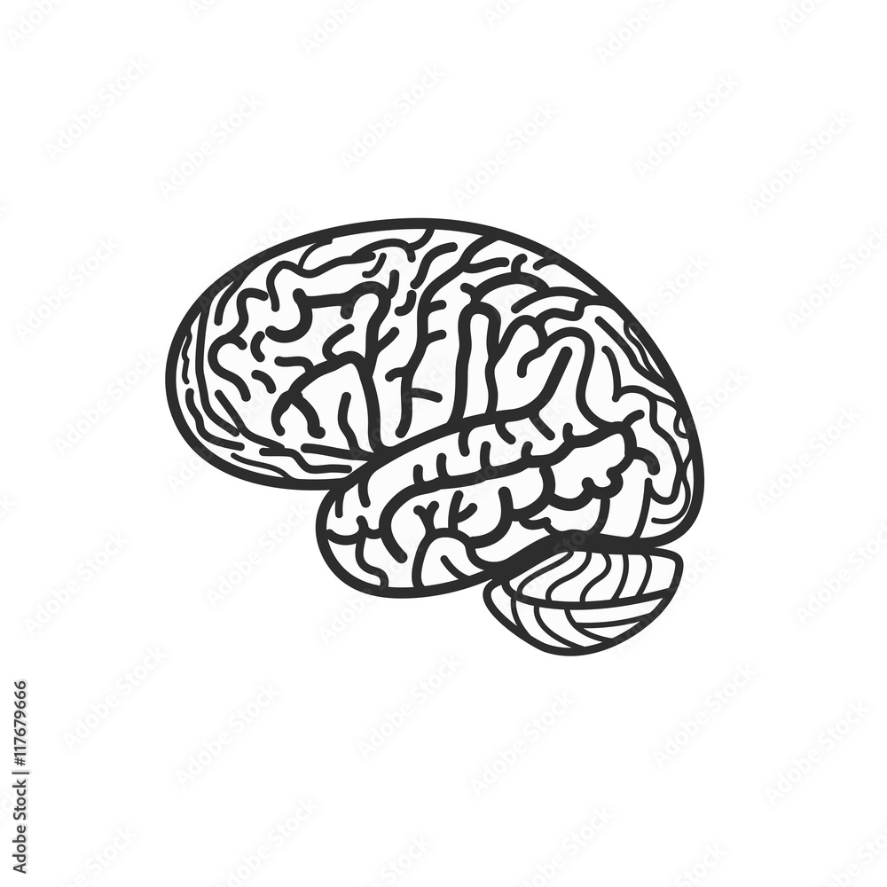 Isolated black and white brain contour vector logo. Gyrus silhouette logotype. Human intelligence illustration. Isolated black and white brain contour vector logo. Gyrus silhouette logotype. Human intelligence illustration.