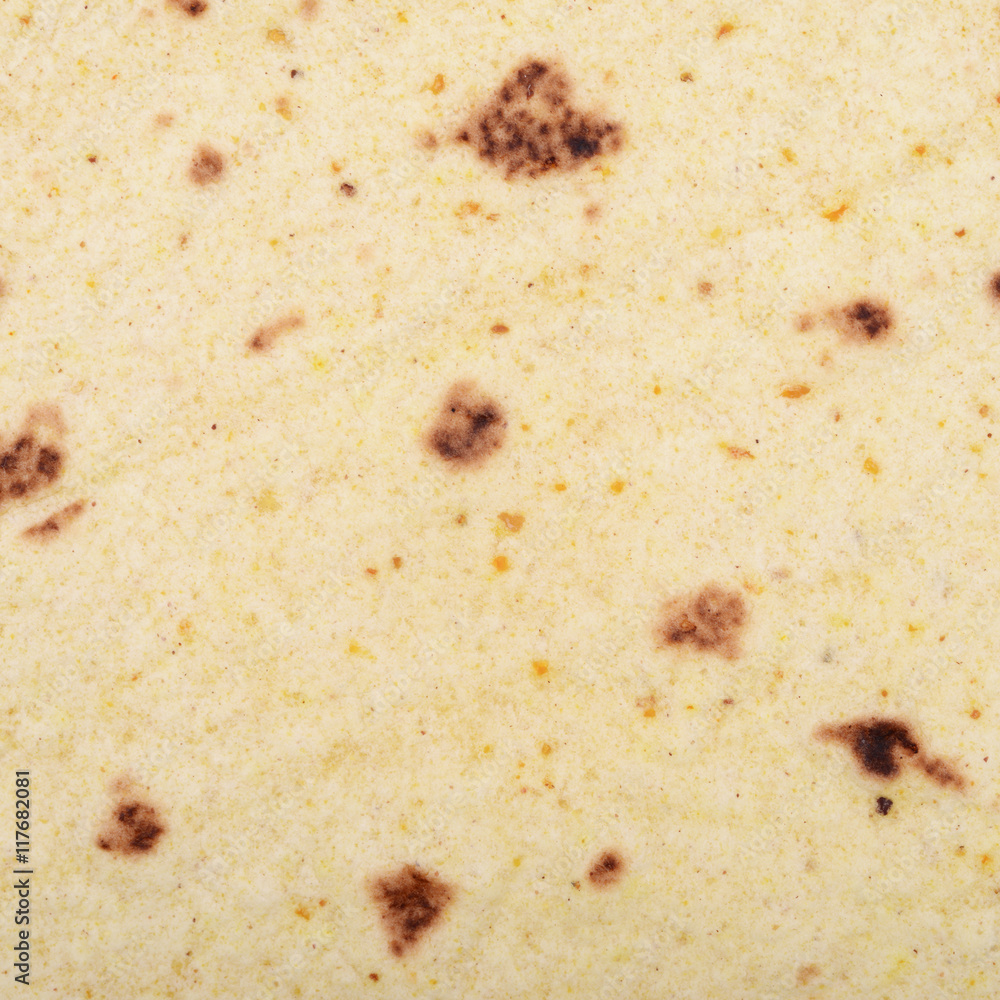 Texture fragment of a tortilla