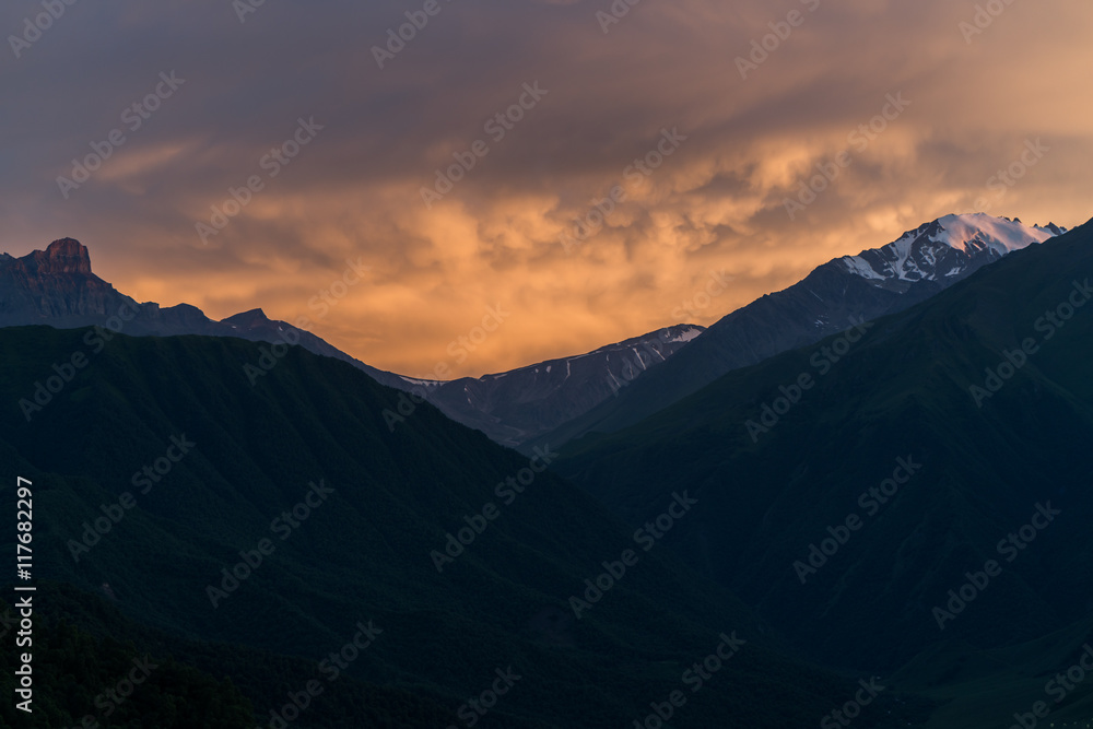 Fototapeta premium nature