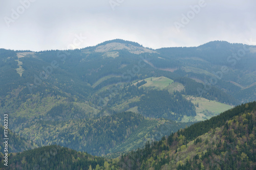 Fototapeta Naklejka Na Ścianę i Meble -  Spring forest on mountain slopes